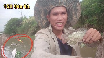 TSon Vlog | 15h Sinh Tồn Câu Cá Tìm Món Cá Nướng Điểm Câu Cá Rô Phi. Giật Mỏi Tay #tsonvlog