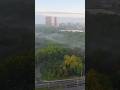 The Day After the Rainstorm.. #home #foggy #morning #sunnybrook #park #panoramic #views #toronto