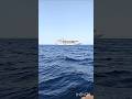 India's largest luxury Cordelia cruise full details 30secs lo full experience cheyandi#shortsviral