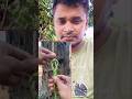 ২ টা দড়ি একসাথে জোড়া দেওয়ার সহজ উপায়❤️✅✅ #hack #camping #rope #reels #tipsandtricks