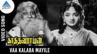 Kathavarayan old Tamil Movie Songs | Vaa Kalaba Mayile Video Song | Sivaji Ganesan | Savitri