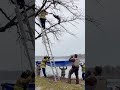 Firefighters Rescue Stuck Bald Eagle