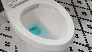 KeepClean™ Toilet Bowl Glaze by Gerber Plumbing Fixtures 2,305 views 1 year ago 56 seconds