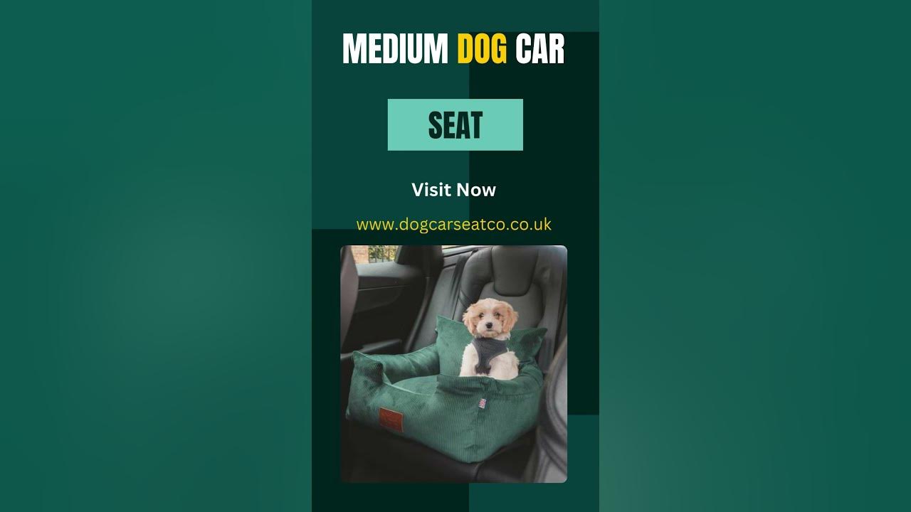 Dog Car Seats in Small, Medium & Large Sizes with Secure Harnesses