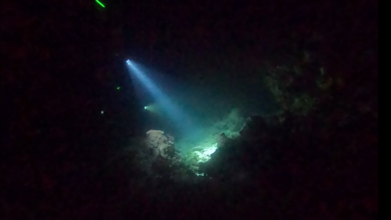 Night Diving - NAUI Advanced Diver Course (with Fluoro Diving!)