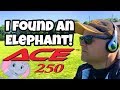Metal Detecting UK Parks Garrett Ace 250 Nel Tornado (57)