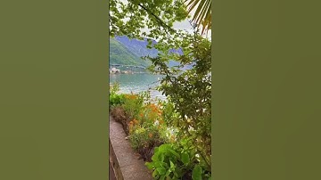 مقطع قران قصير تلاوة خاشعة الشيخ ماهر المعيقلي أمام الحرم المكي الشريف