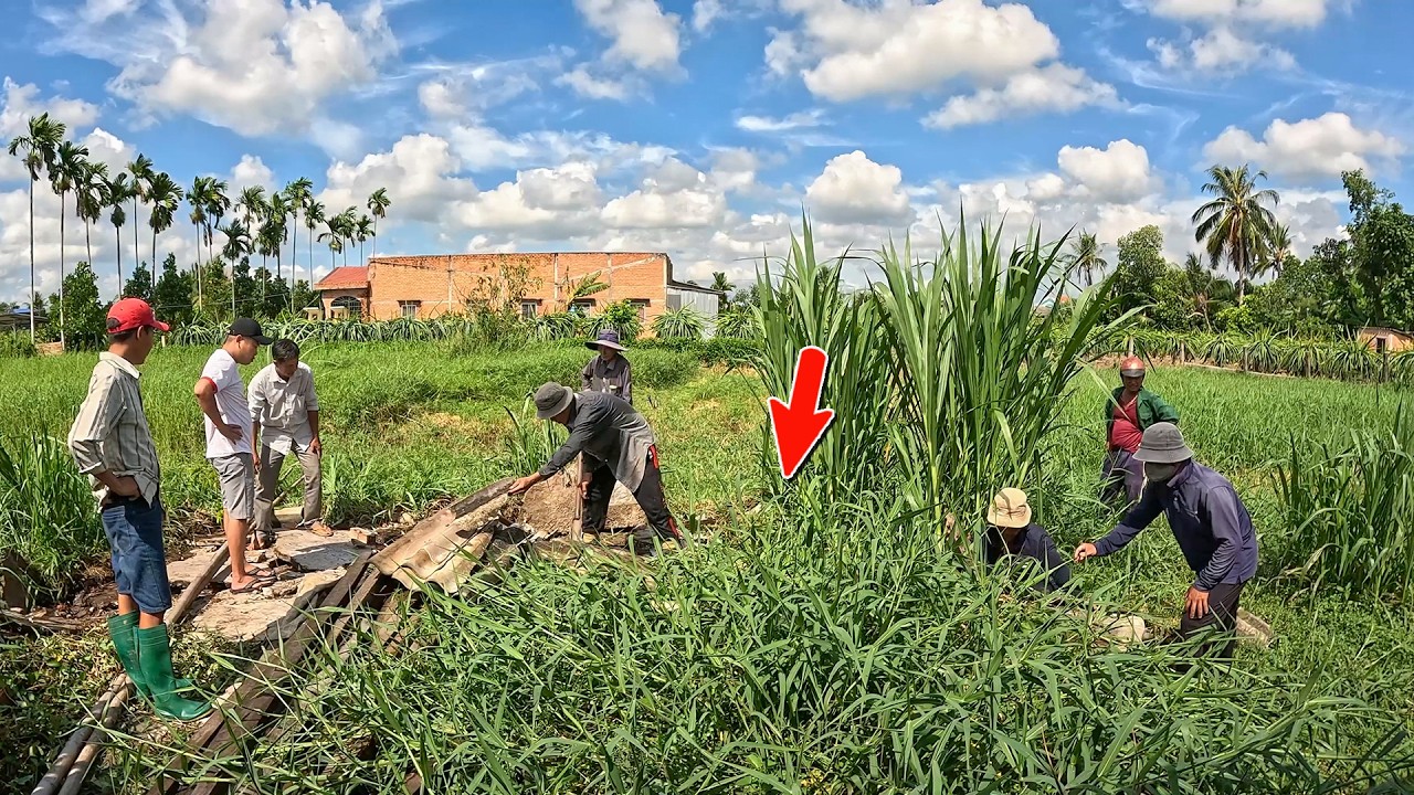 Anh Chủ Nhà Nhìn Thấy 2 Con Rắn Quấn Nhau Ở Ngay Cửa Ra Vào | TGSB #1131