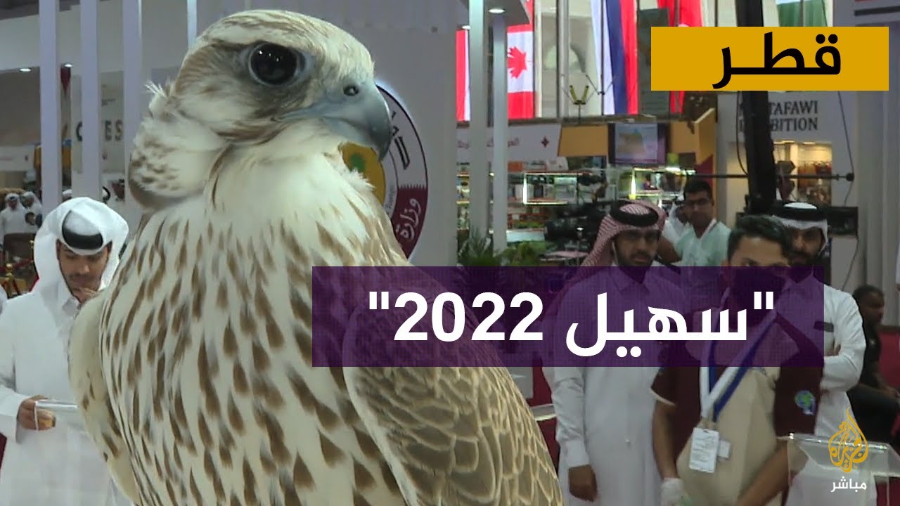 مشاركة عالمية في معرض كتارا الدولي للصيد والصقور