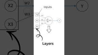 What are weighted sums in Neural Networks?