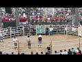 Vigotes Vs Ratoncito De Morelia