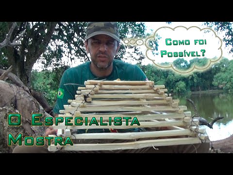 Two Item Survival Trap - Survival & Bushcraft