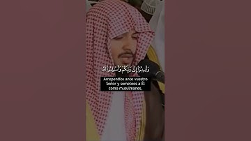 Recitador: Haitham Al Dakhin / Surah: Az-Zumar (Quran 39:53-54) @quran.and.sunnah