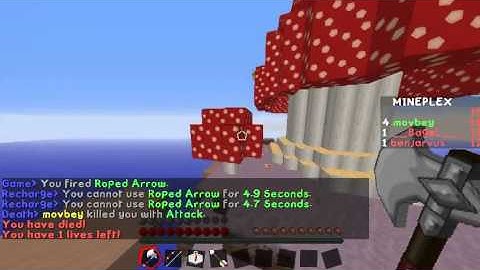 Hacker caught on mineplex