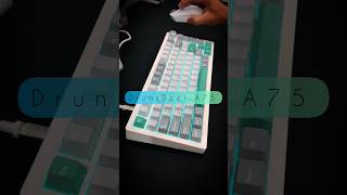 Tried modding the DrunkDeer A75 #keyboardasmr