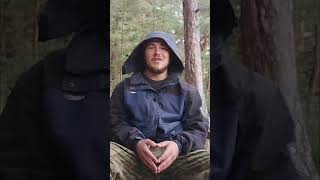 Гормоны щитовидной железы