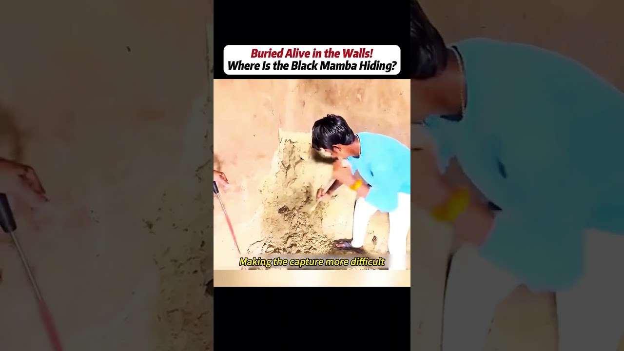 #handwork #Manufacturing #Build #Creativity #Repair #DIY #challenge #Treasurehunt #animalworlds