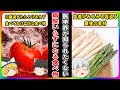 とりあえず食べておけば間違いない、病気にならない体になる５つの食べ物【ゆっくり解説】