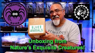Unboxing from Nature's Exquisite Creatures!