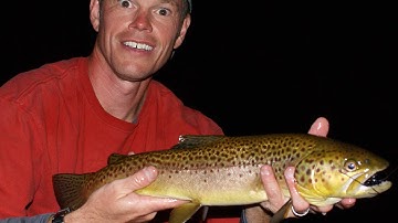 ChaosBook.org searches for cycles: think, don