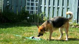 DSCF2204.AVI