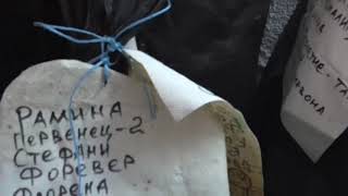 видео: ЗИМНЕЕ ХРАНЕНИЕ САЖЕНЦЕВ И ЛОЗЫ ВИНОГРАДА картинка: ЗИМНЕЕ ХРАНЕНИЕ САЖЕНЦЕВ И ЛОЗЫ ВИНОГРАДА