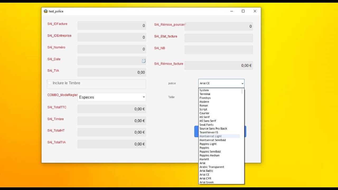Windev Cours 43 : changer le style de Tous les champs ( police , taille , couleur...)