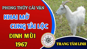 CÁCH KHAI VẬN MỞ CUNG TÀI LỘC TUỔI ĐINH MÙI 1967 - TRANG TÂM LINH