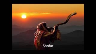 Sonido del Shofar HD screenshot 2