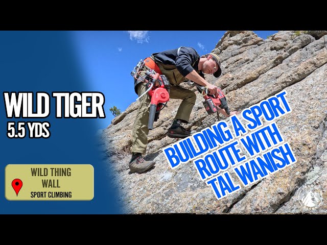 Wild Tiger 5.5 - Sport climb and route development in Wonderland