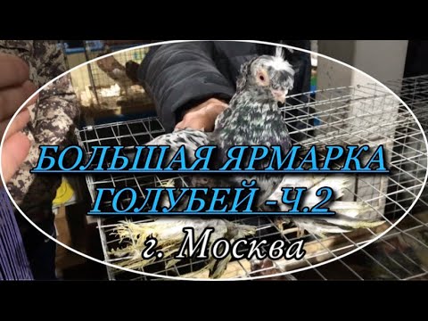 Video: Flora Thiab Fauna Ntawm Thaj Av Moscow