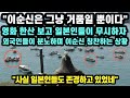 [해외반응] &quot;이순신은 그냥 거품일 뿐이다&quot; 영화 한산 보고 일본인들이 이순신 장군 무시하자 오히려 외국인들이 분노하는 이유