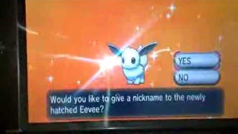 Pokemon X and Y: Second Shiny Eevee After Only 8 Eggs