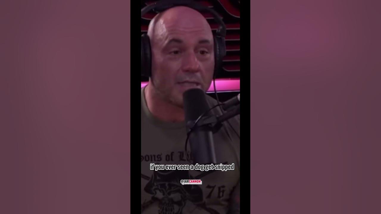 part 2 of joe rogan on chimps😳#joerogan #joeroganclips #