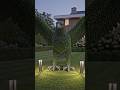 Giant Eagle Made from Plants 🌿🦅 #satisfying #trending #viral #youtubeshorts #ytshorts #eagle #trend