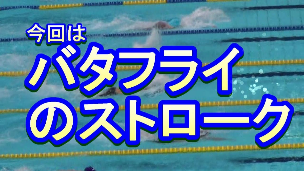 高知発 バタフライ ストローク Youtube