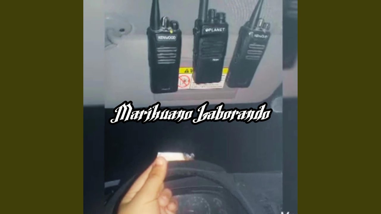 Marihuano Laborando