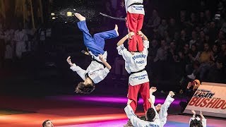 LE TAEKWONDO AU 33EME FESTIVAL DES ARTS MARTIAUX