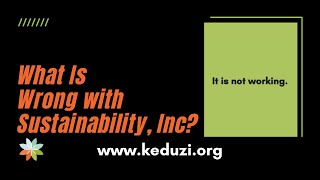 What Is Wrong with Sustainability Inc?