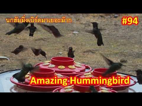 ผลสลากกินแบ่งรัฐบาล วันที่ 1 พย. 2567