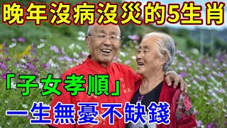 晚年沒病沒災的5生肖「子女孝順」一生無憂不缺錢快來看看有沒有你【幸福佛之家】#生肖 #風水 #運勢 #財運