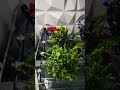 Smart Aqua Farm project of Arduino & ESP32 | IoT projects 3026