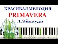 Primavera Людовико Эйнауди. Красивая мелодия. Простая версия на пианино