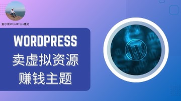 WordPress卖虚拟产品赚钱主题--总裁主题 #wordpress教学 #wordpress #wordpress主题
