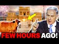 Red Heifers SECRETLY ARRIVED! Israel Will START THIRD TEMPLE SOON!