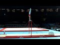 Aleksandrov yordan bul  2017 artistic worlds montral can  qualifications horizontal bar