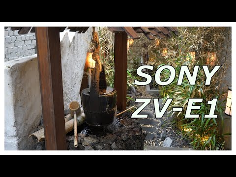 [Vlog #18] SONY ZV-E1으로 담아 본 주말