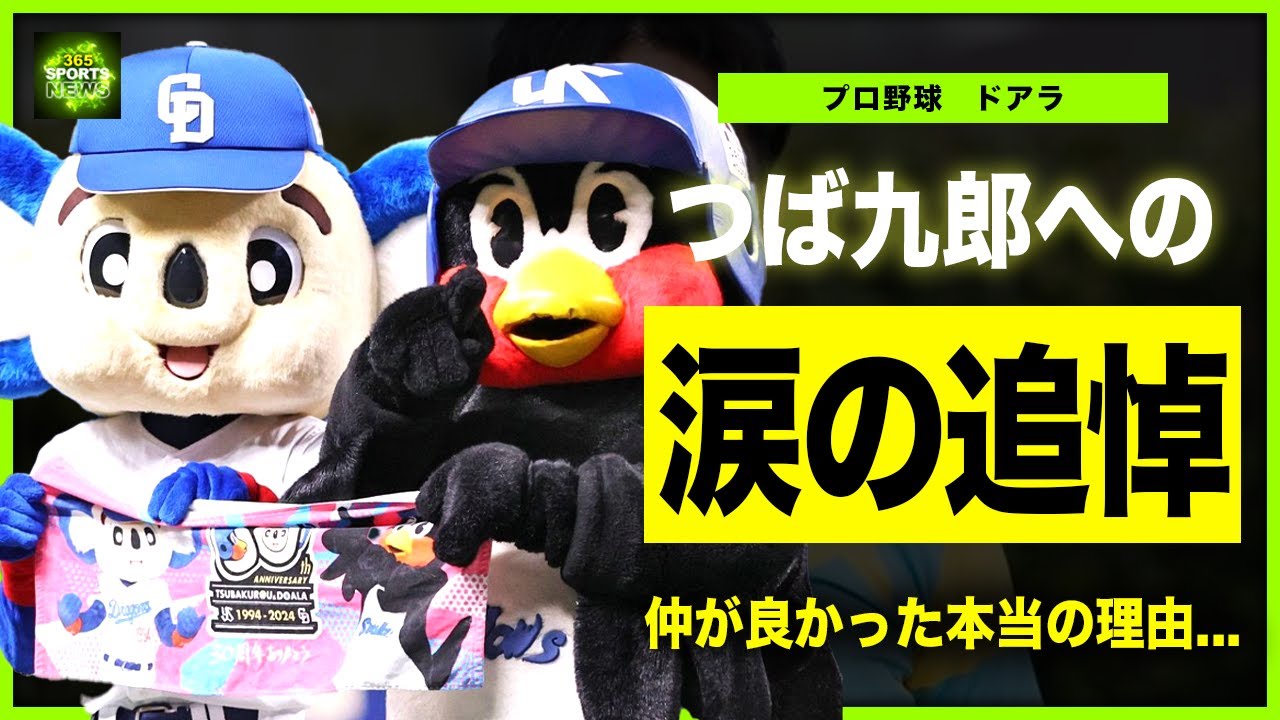 【プロ野球】ドアラが語ったつば九郎への本音...新たに選ばれた二台目つば九郎の正体に驚きを隠せない！球団の違ったマスコットキャラたちの仲が良かった理由...担当している人物の正体に言葉を失う！