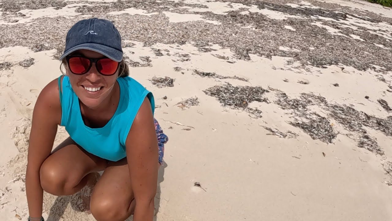 Ocean Bounty: Sustaining Ourselves Off Our Catch in the Bahamas – Ep. 236