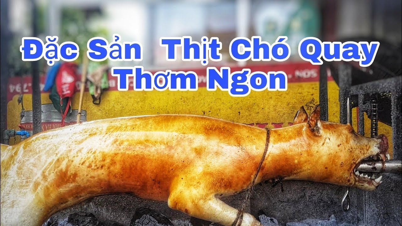 vietnamese food - Món Chó Quay Đường Phố Thơm Nhức Mũi - dog meat - YouTube